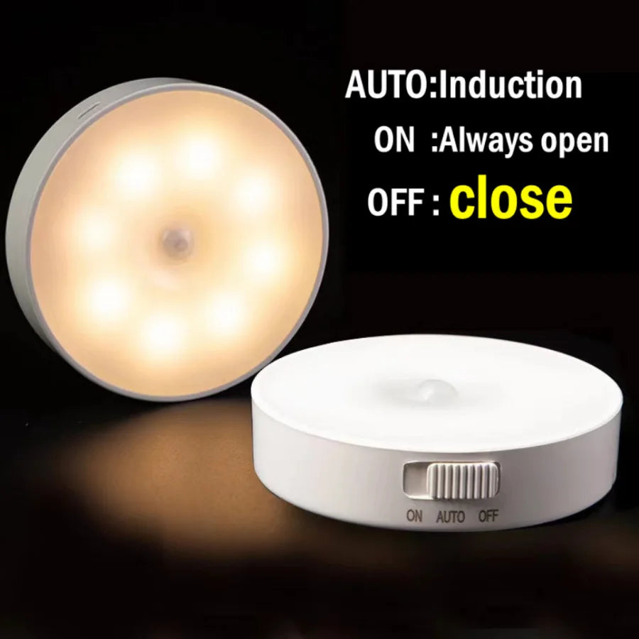 Motion Sensor Light